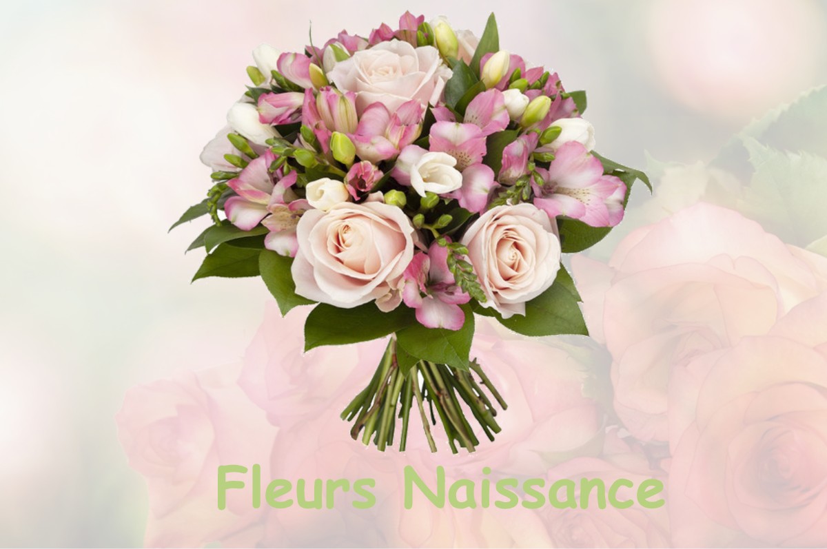 fleurs naissance MALLERET-BOUSSAC